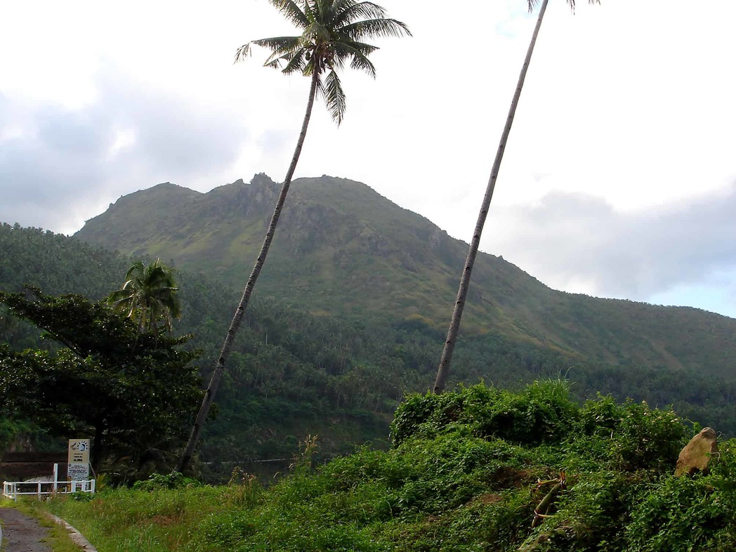 Die Berge der Insel Cebu sind mittlerweile größtenteils entwaldet. Diese Entwicklungen wirken sich auf die Biodiversität negativ aus. © Herbert Zettel.