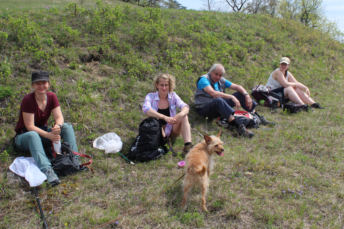 Mit den drei Bienenforscherinnen (v. l. n. r.) Katharina Zenz, Sabine Schoder und Sylvia Wanzenböck, am Kogelberg bei Rohrbach im Bezirk Mattersburg, 1. Mai 2021.Foto: Herbert Zettel